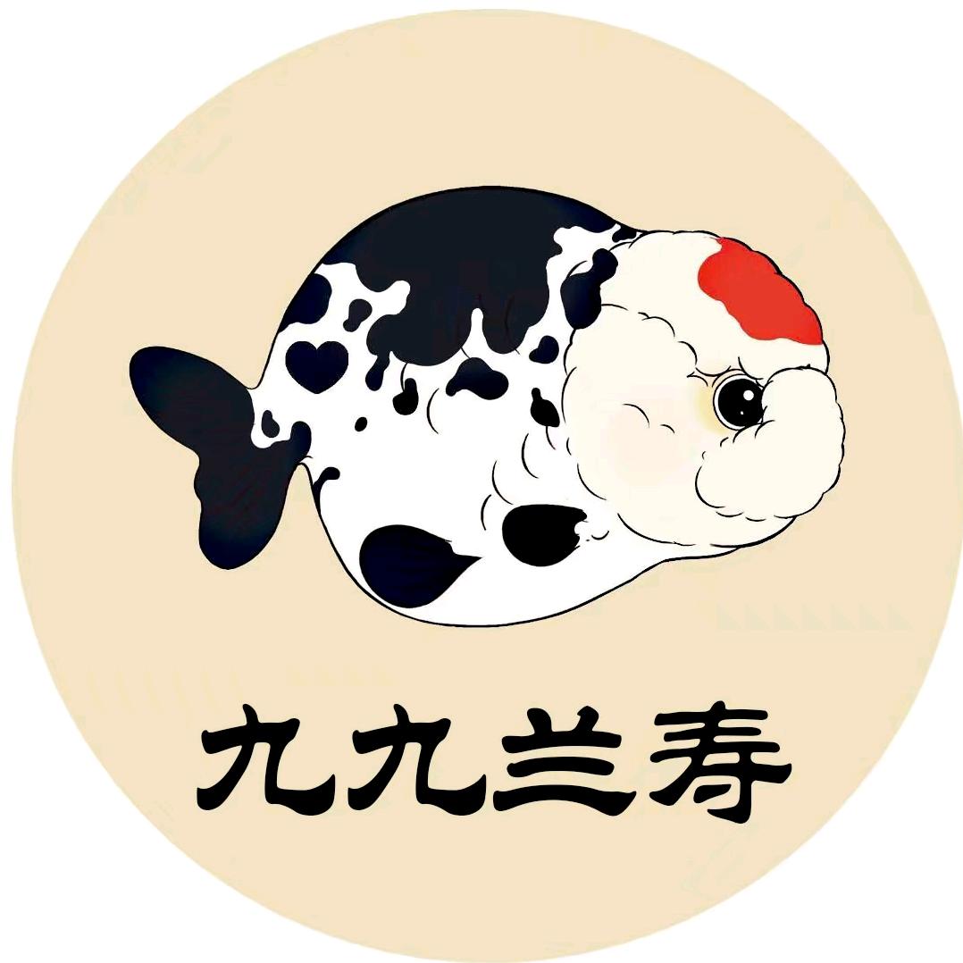 九九兰寿（喜牌金鱼）
