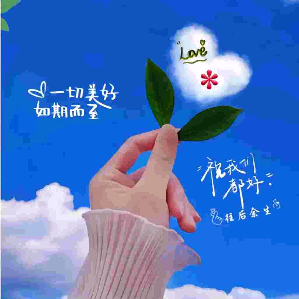 小虾米🍤