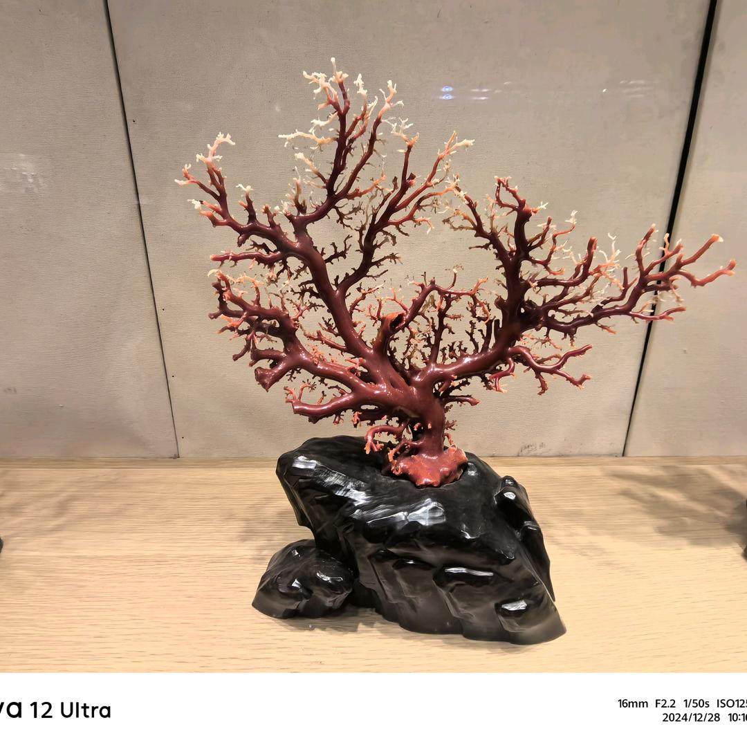 一瓶子不满半瓶子晃荡