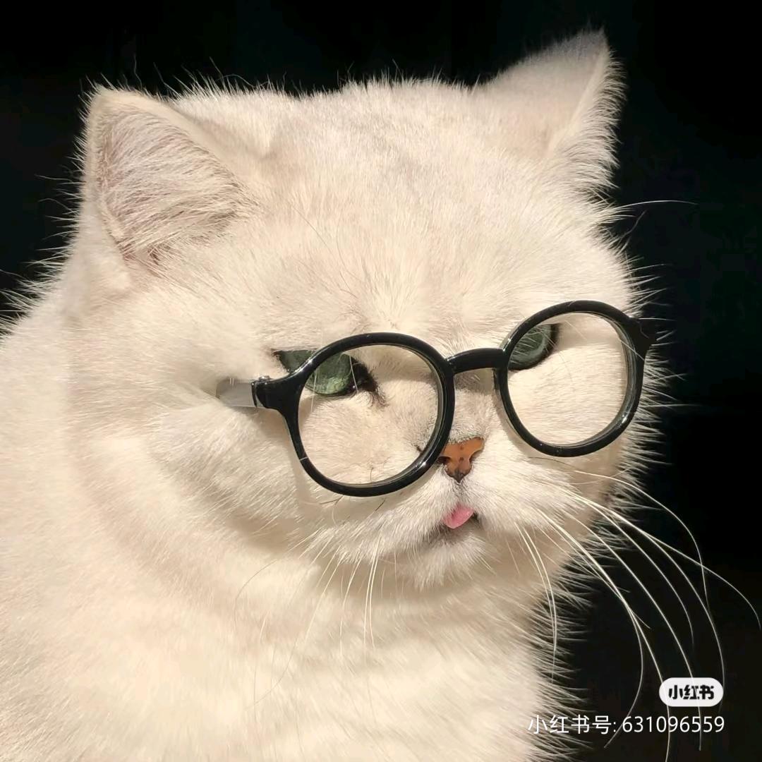 💔不入爱河