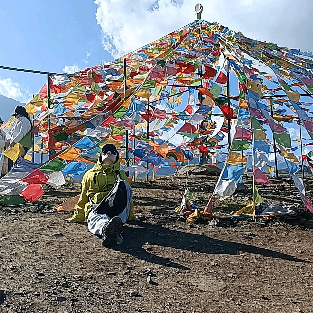 普货运输小姐姐