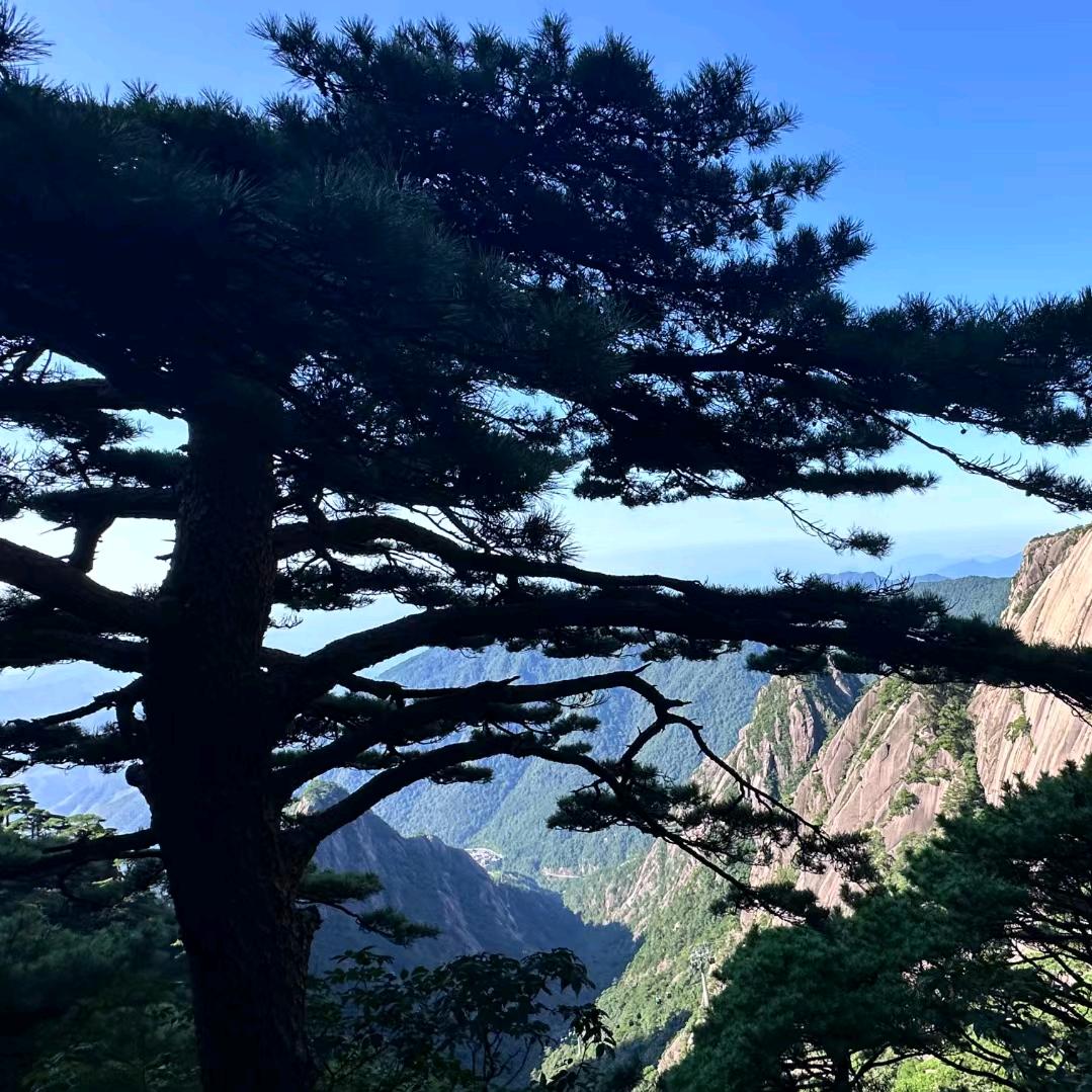 等一分钟