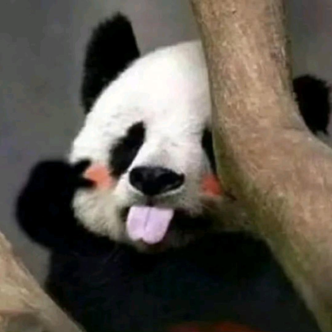 🌈高高的胡萝卜