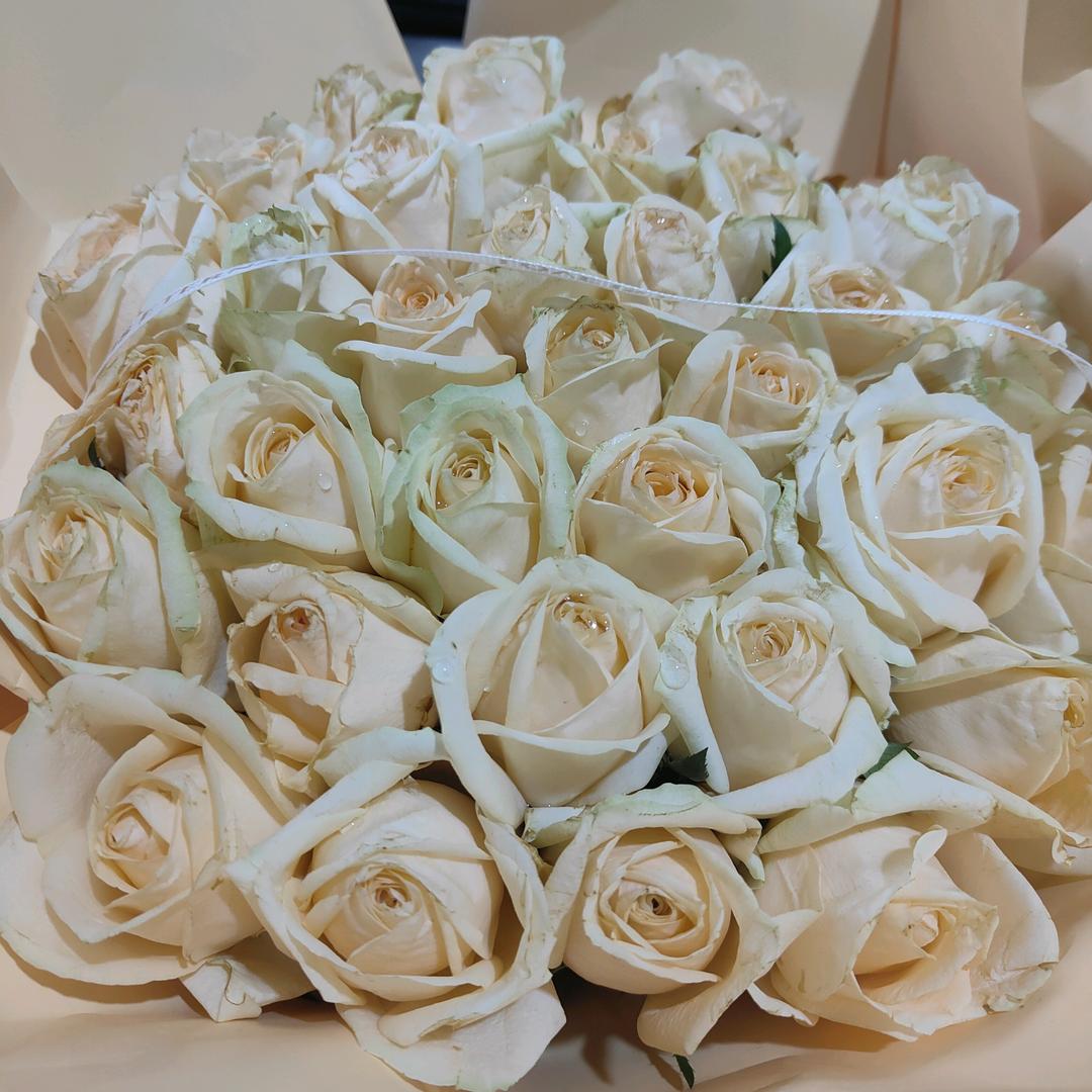 曼朱沙花