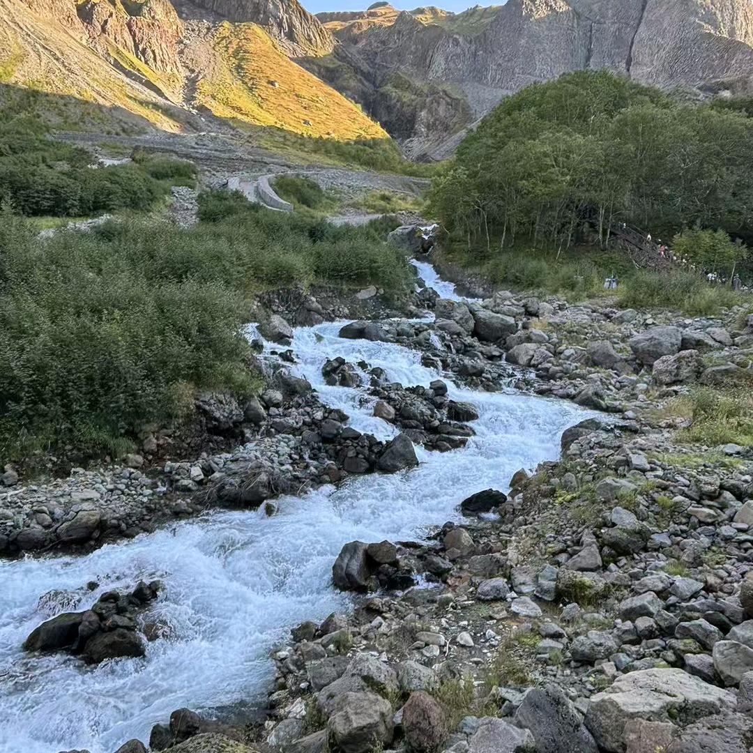 ，137858497664959