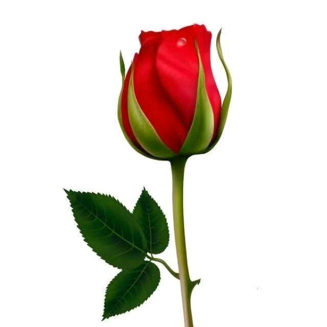 赵家二少壹🏡之主🇲🇦