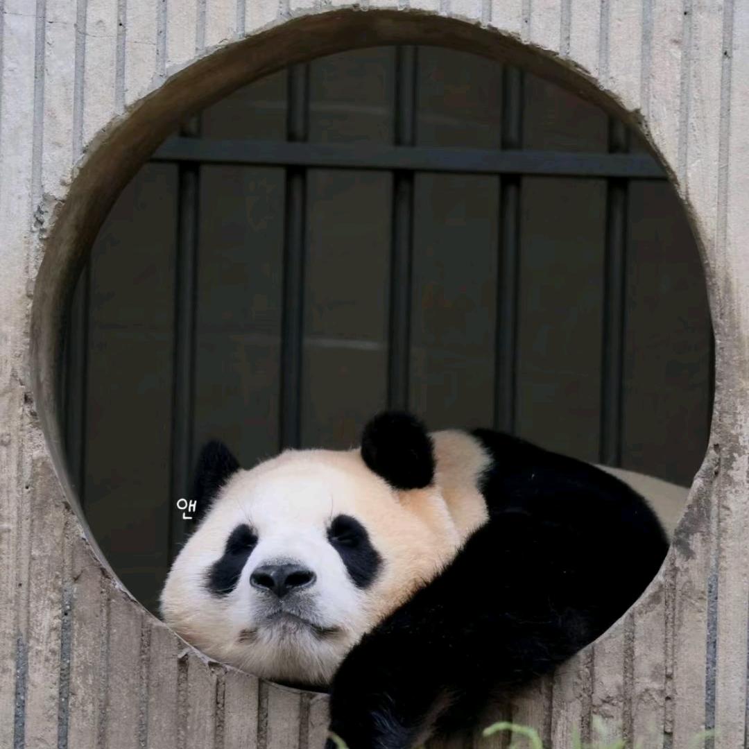 可人🐑⋆͛ᵞᵐ