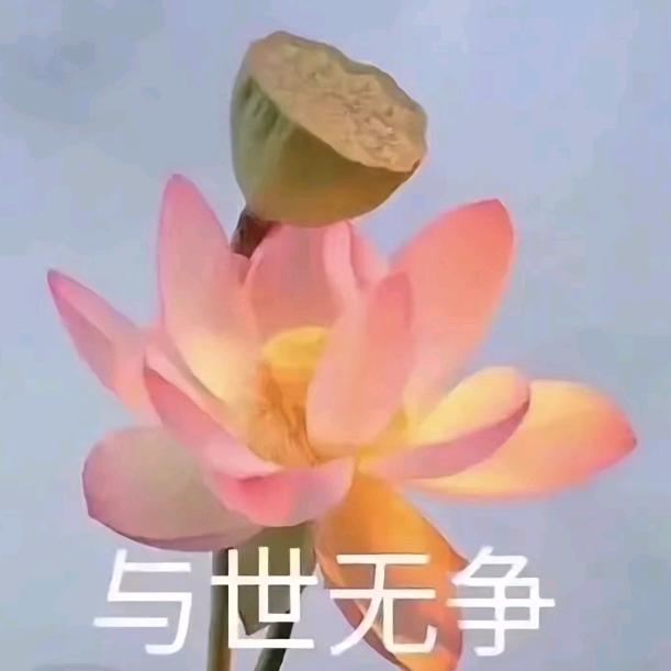 树树