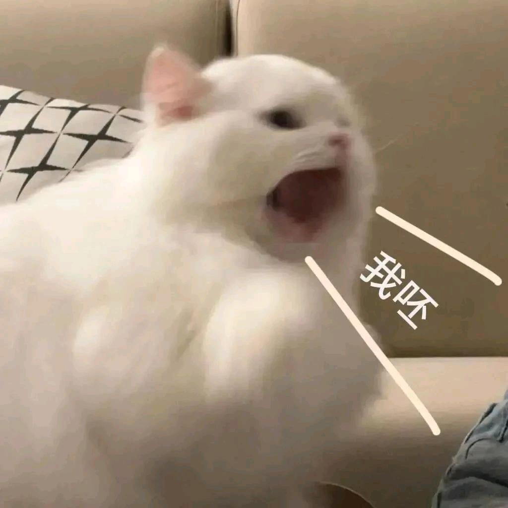 我怎么会浪漫呢