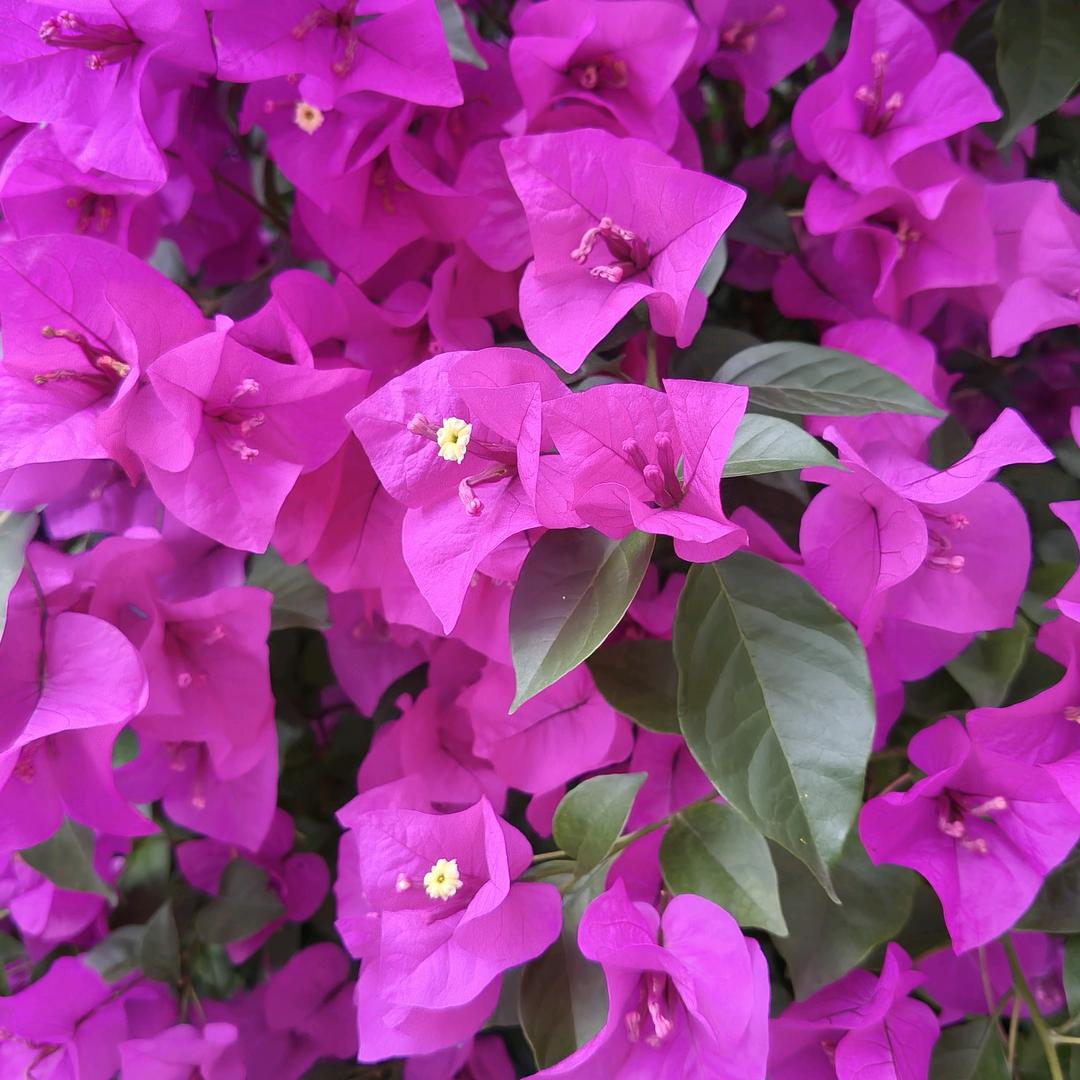 💖累累累❤️💕💘🛍🛍💔💔?