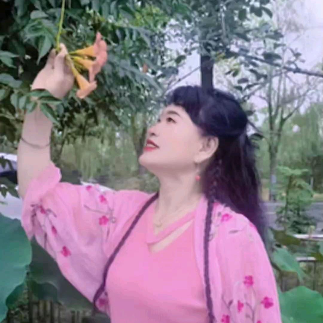 用户：娟子