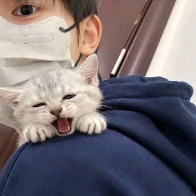 鱼￴ ￴ ￴￴￴￴ ￴￴ ￴￴