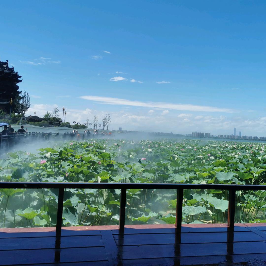 花开一路，幸福满满～