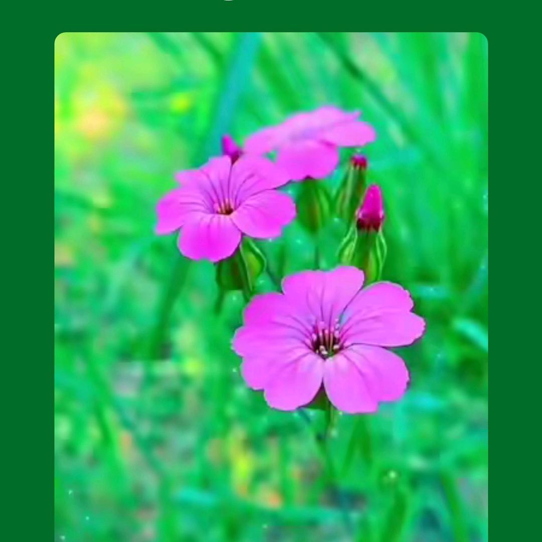 唐守彦厚德载福