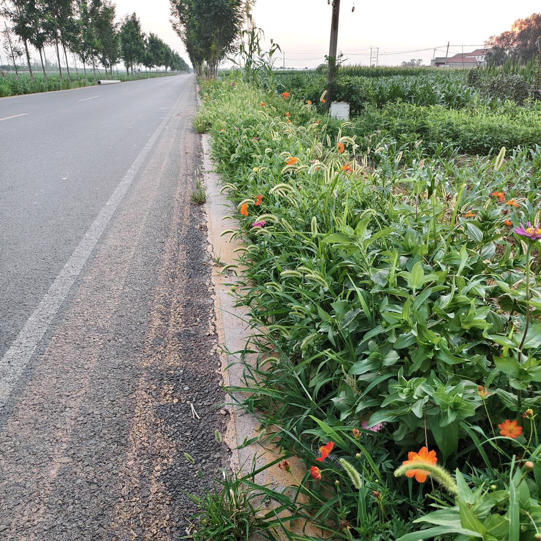 ꧔ꦿ᭄ 㞮ঞᩚ孞꧔ꦿ᭄