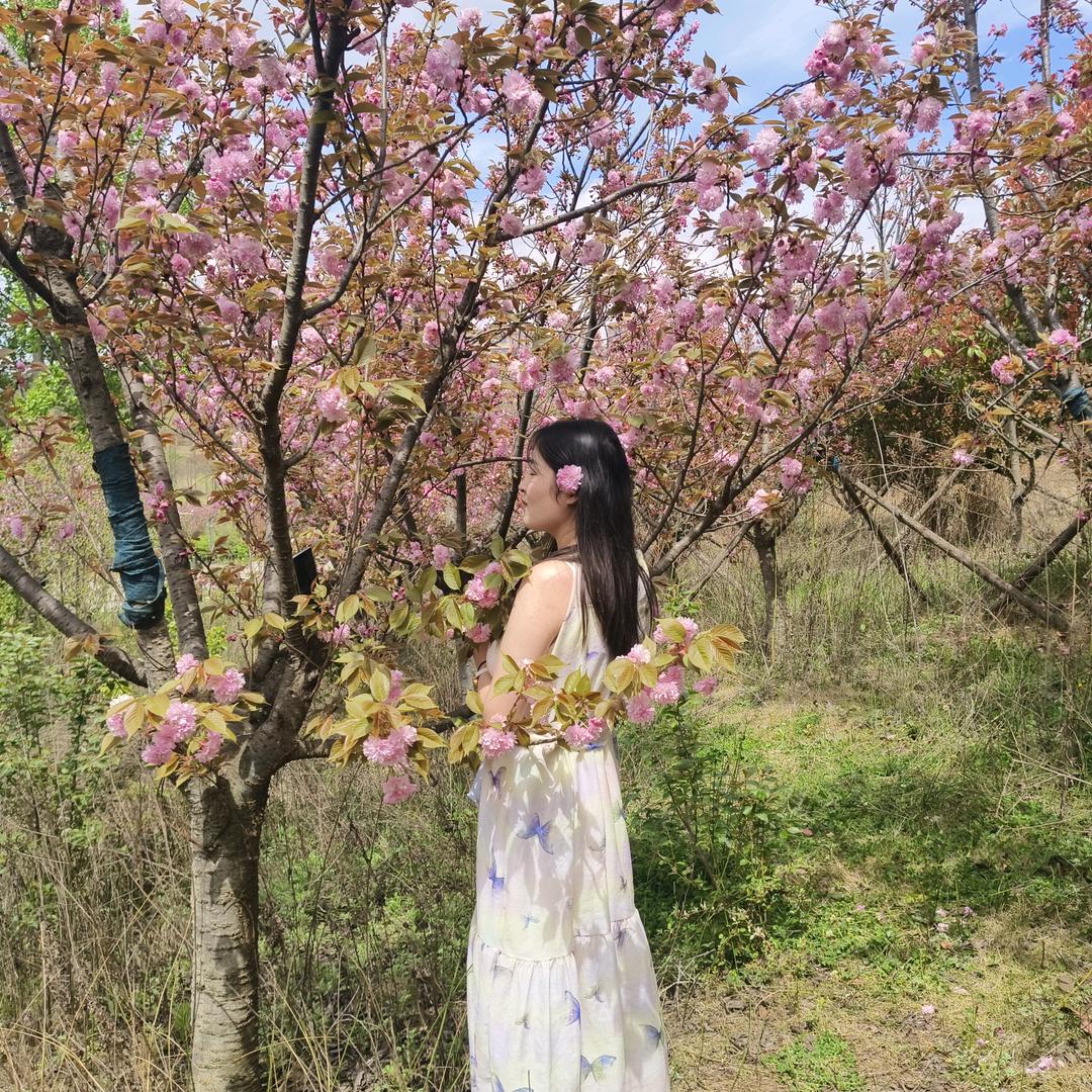 小丽的日常☘️