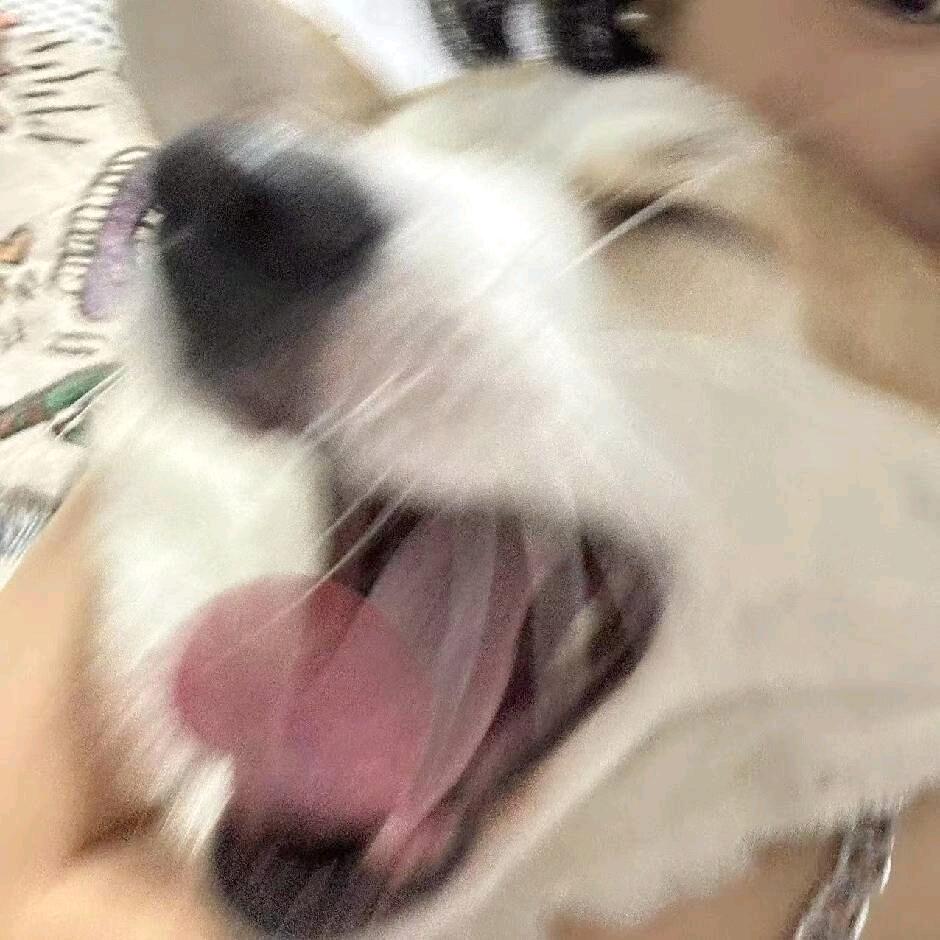 大事闲闲