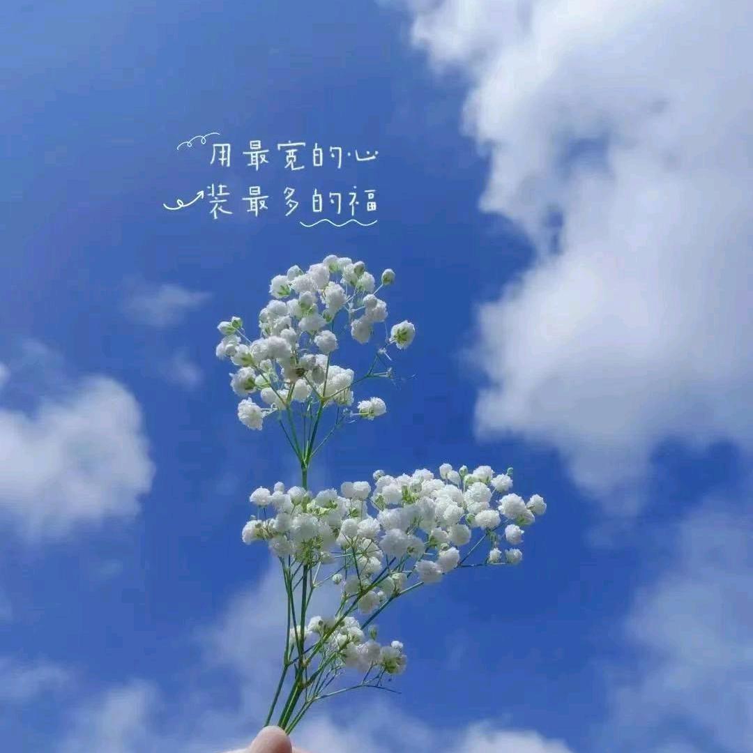 清风舞🍂明月