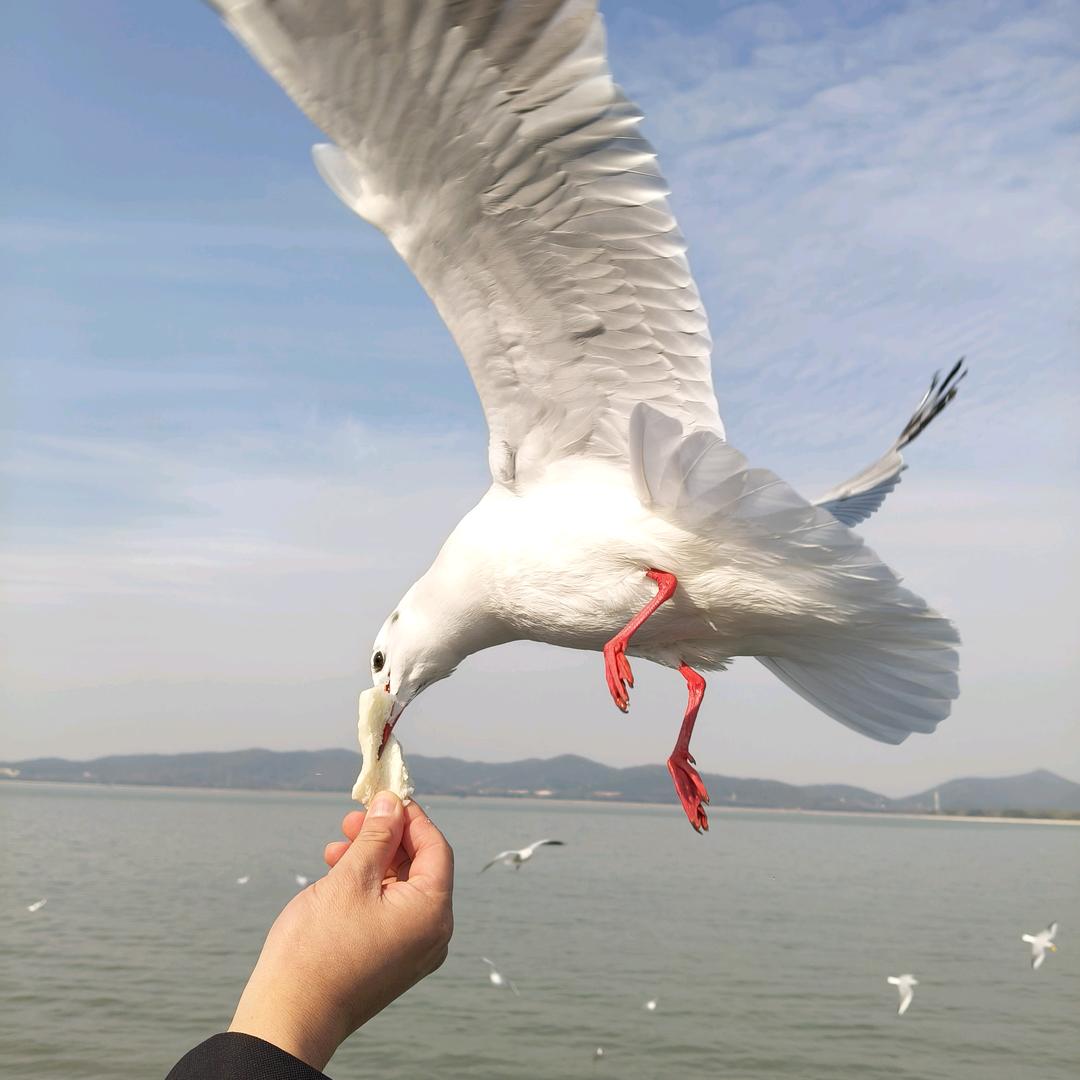 半城伤，半城烟沙，半城池