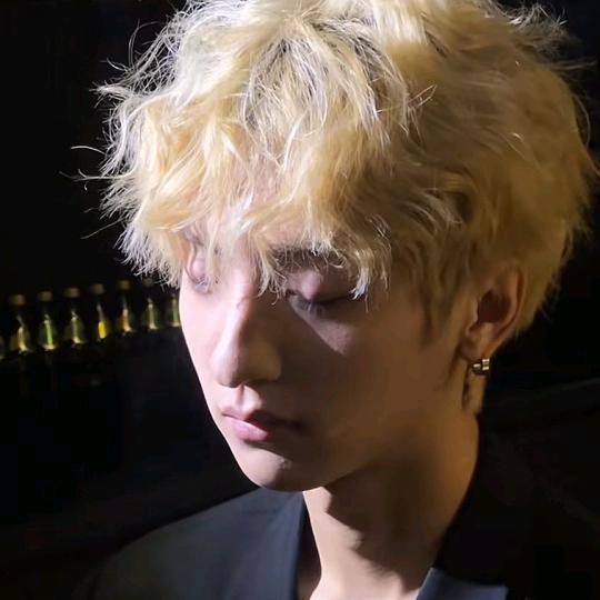 脆脆桐（森苗）