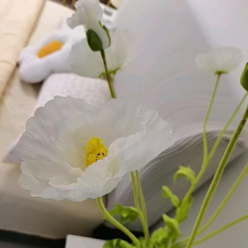遇见民宿