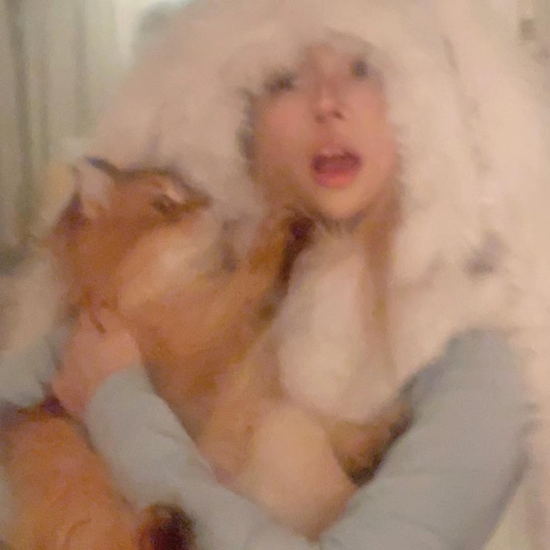 晚安小格😴