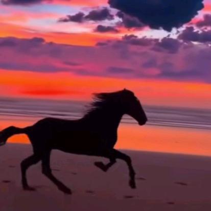 大爷（还是那个大爷