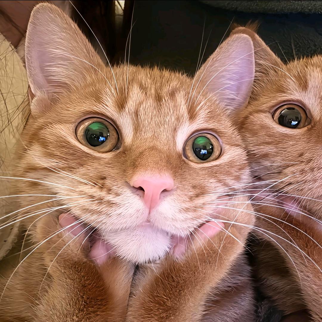 。。。。。。。。