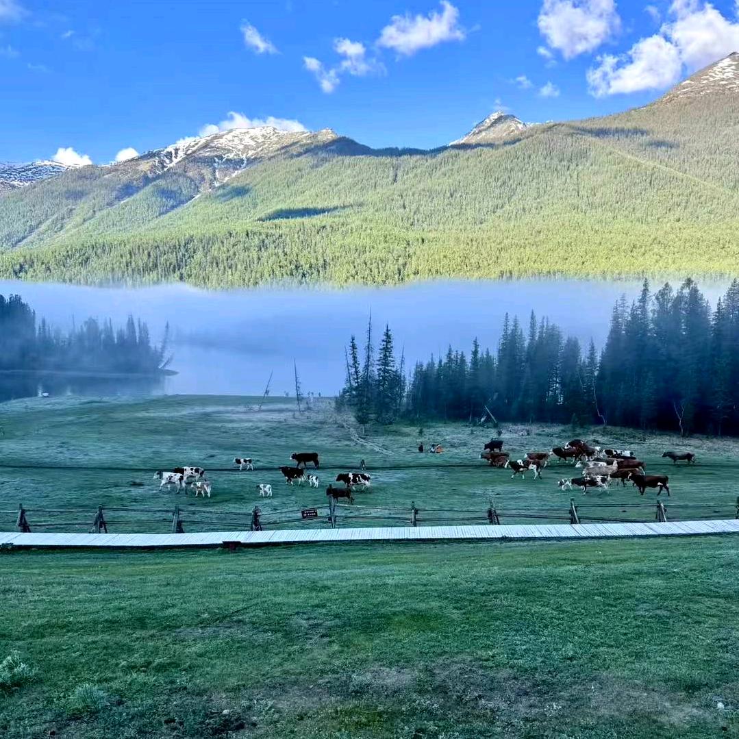 💖大漠孤烟🌹