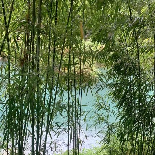 家得福超市(锦绣华城店)孵澜傍谷雨直播号