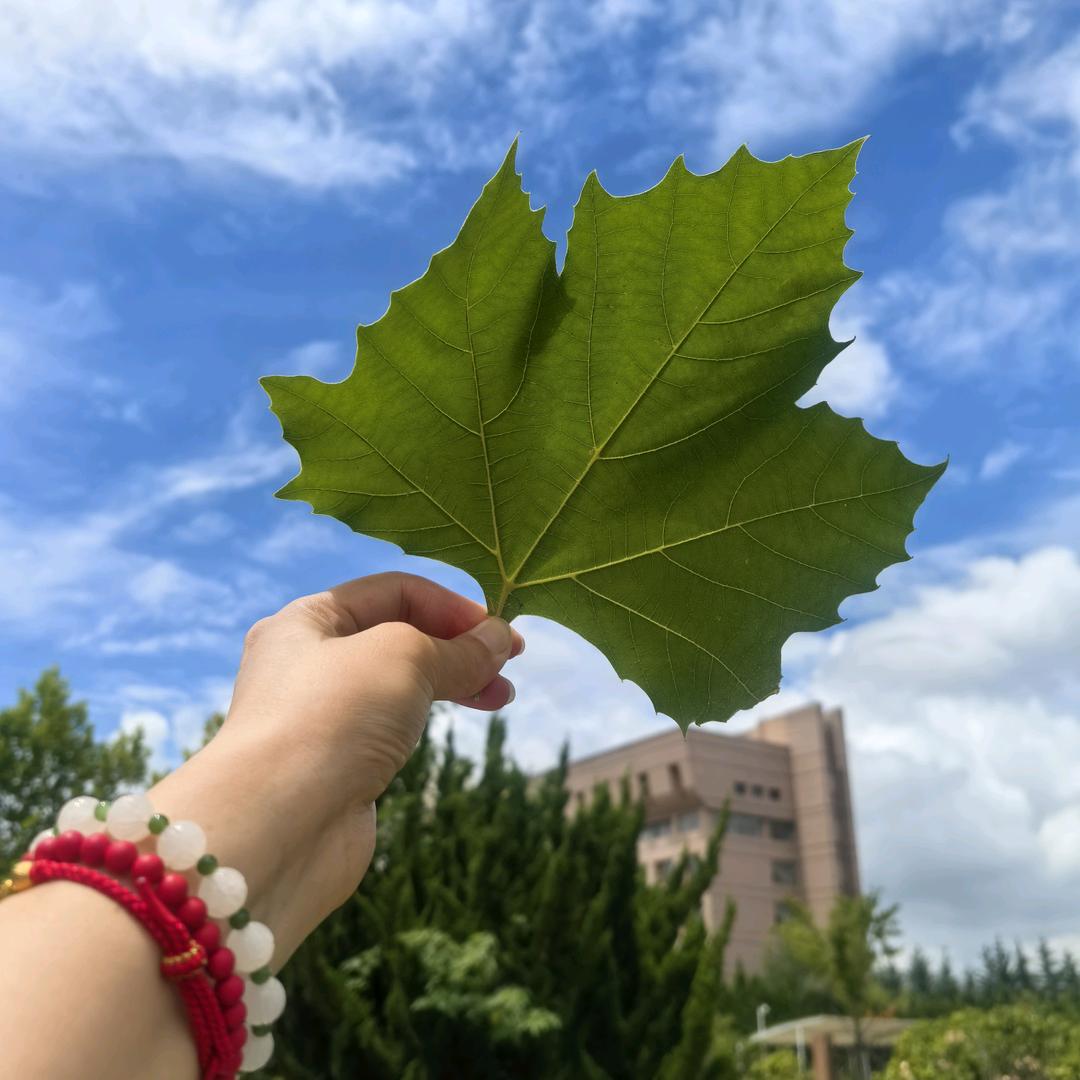 玄极禅舍