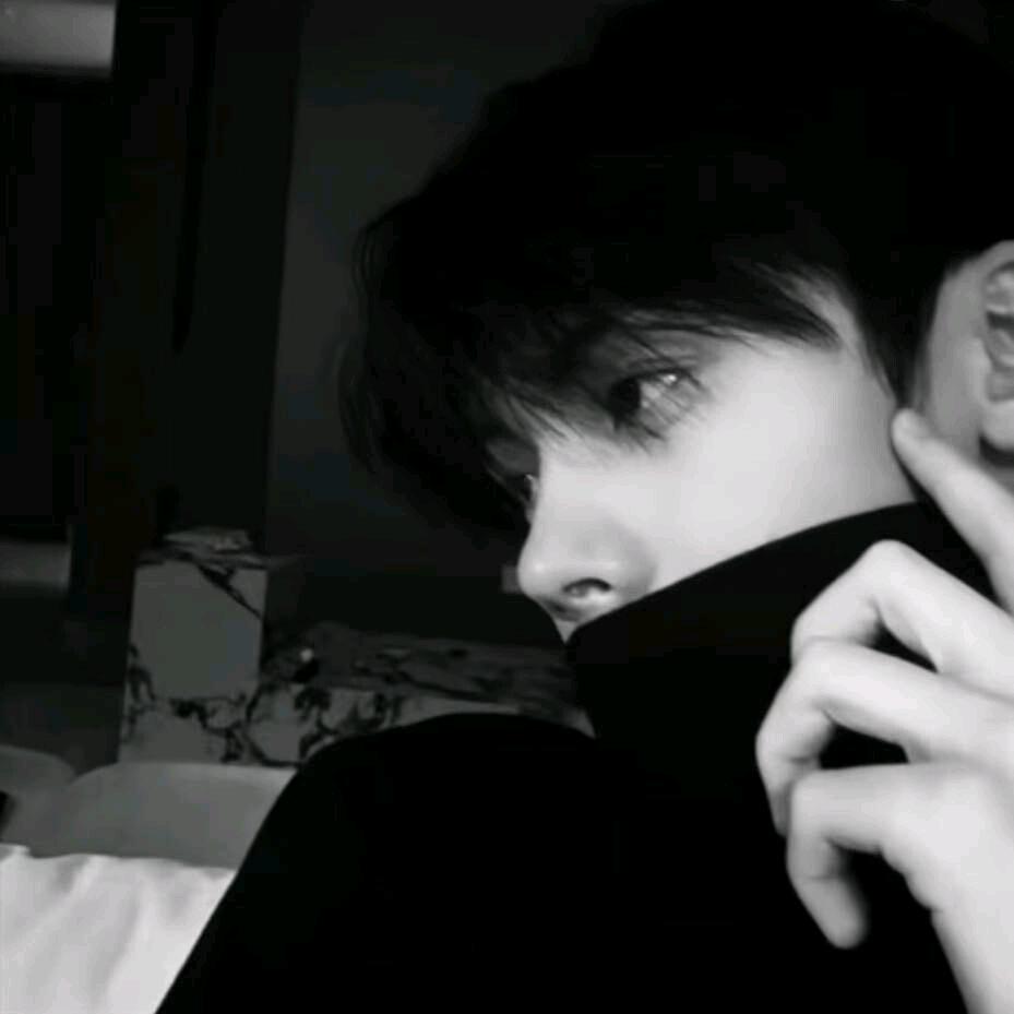 Cn.丰