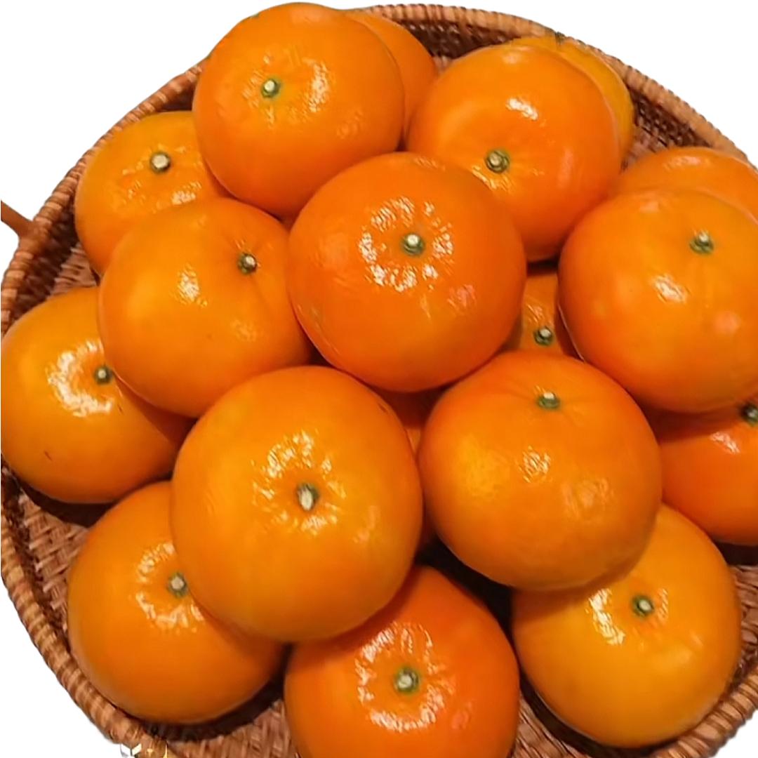 果果(武鸣沃柑)