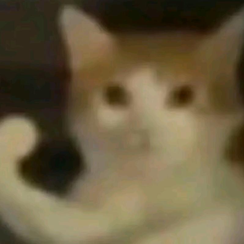 无色无味剧毒老实人.