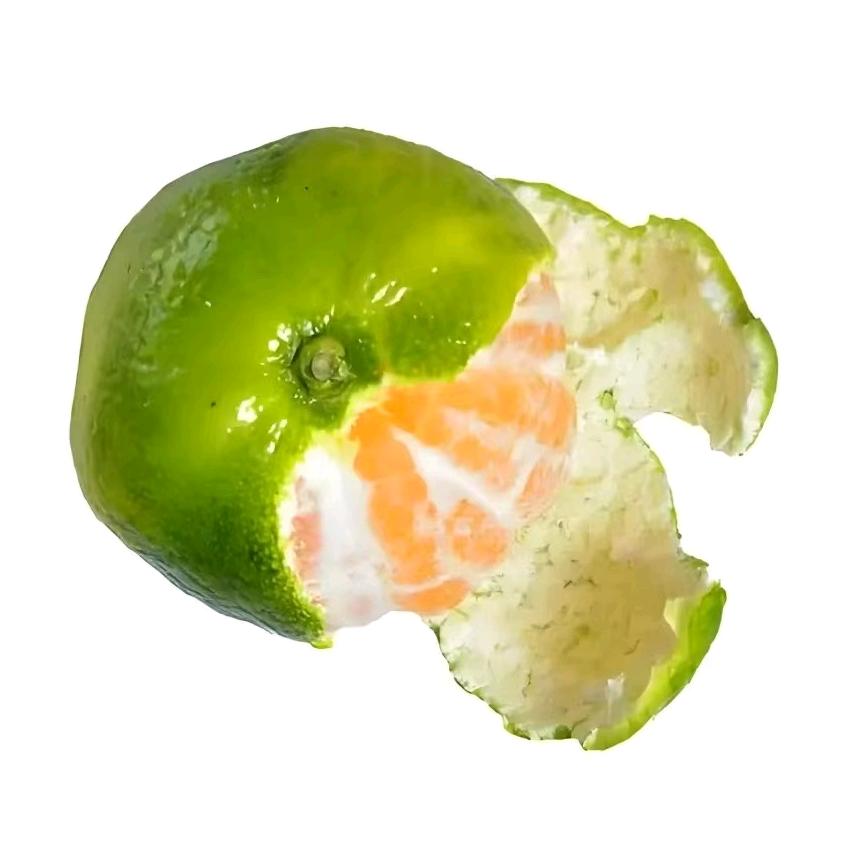 工管助农小分队