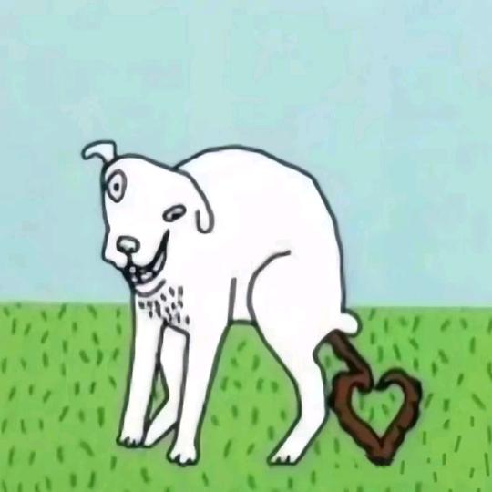 小橘˘ᗜ˘（随机开播版）