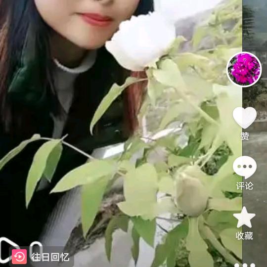 群群，橱窗里有好物，欢迎光顾