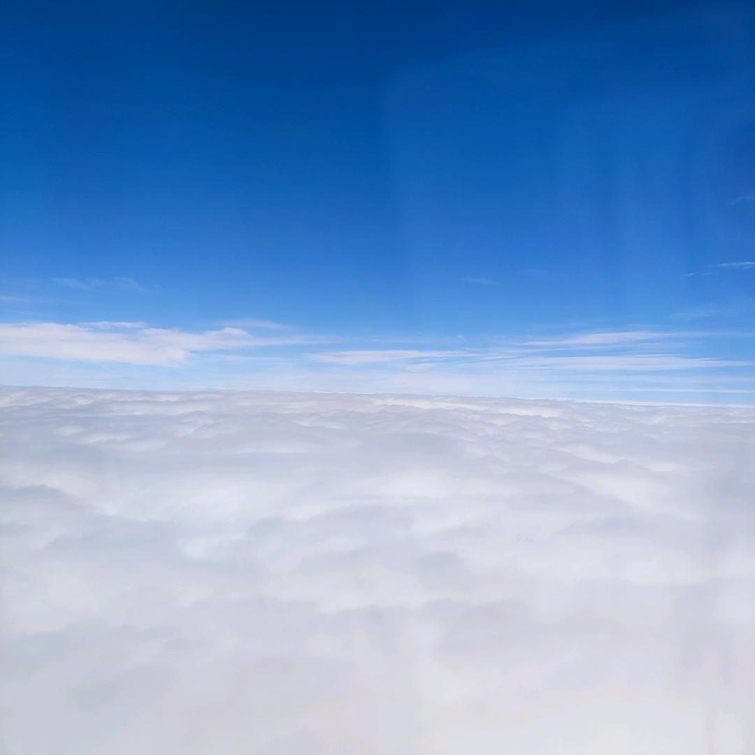 子落楸枰#