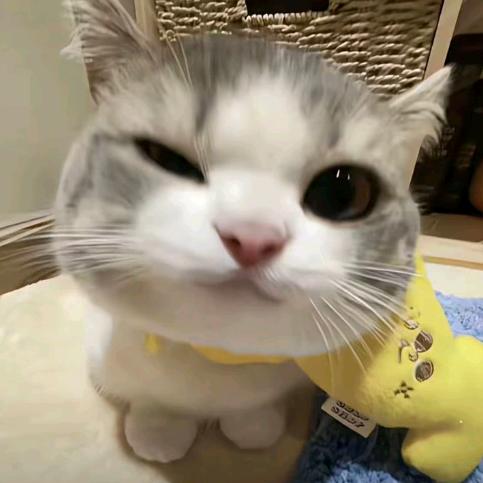 小舰
