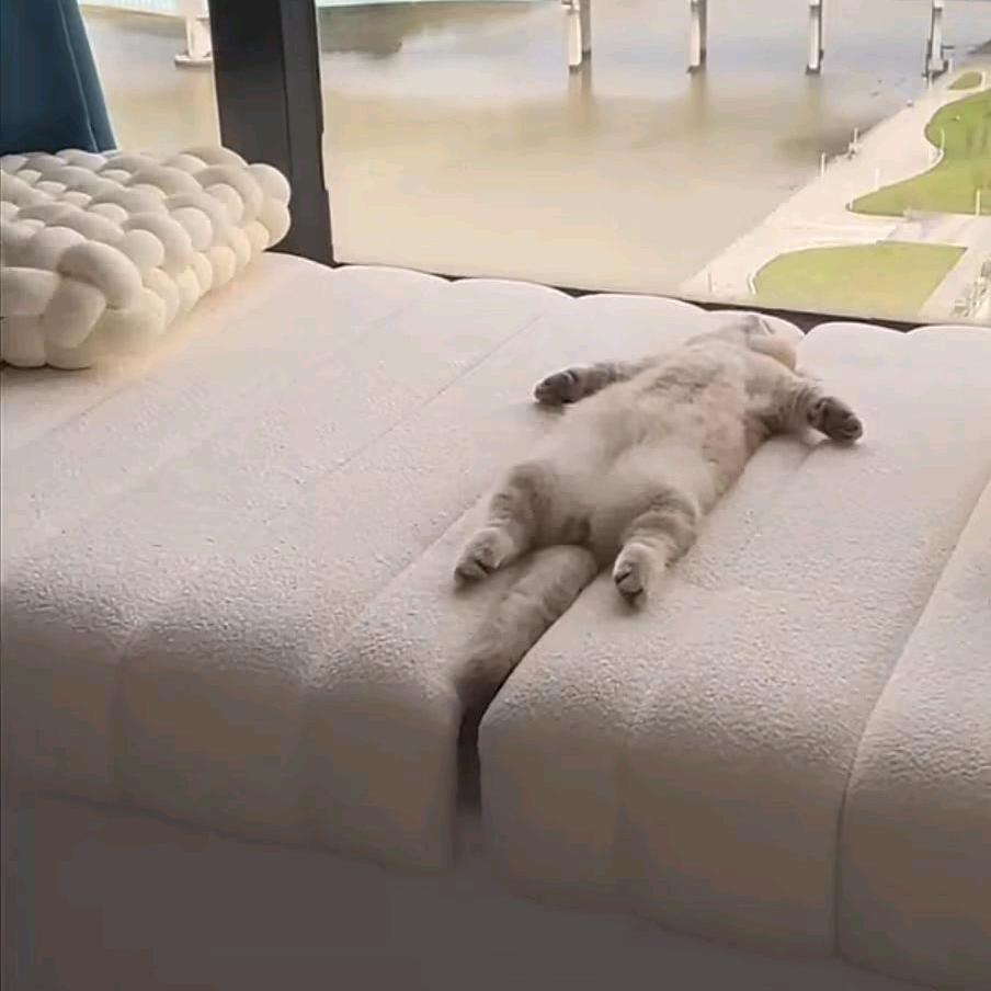 嗯哼？