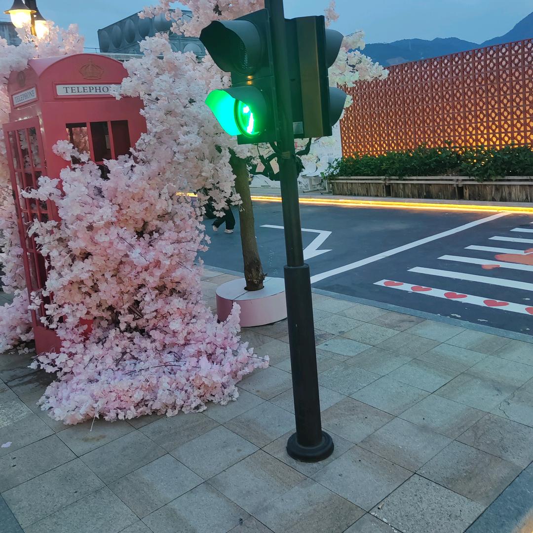 小辰辰