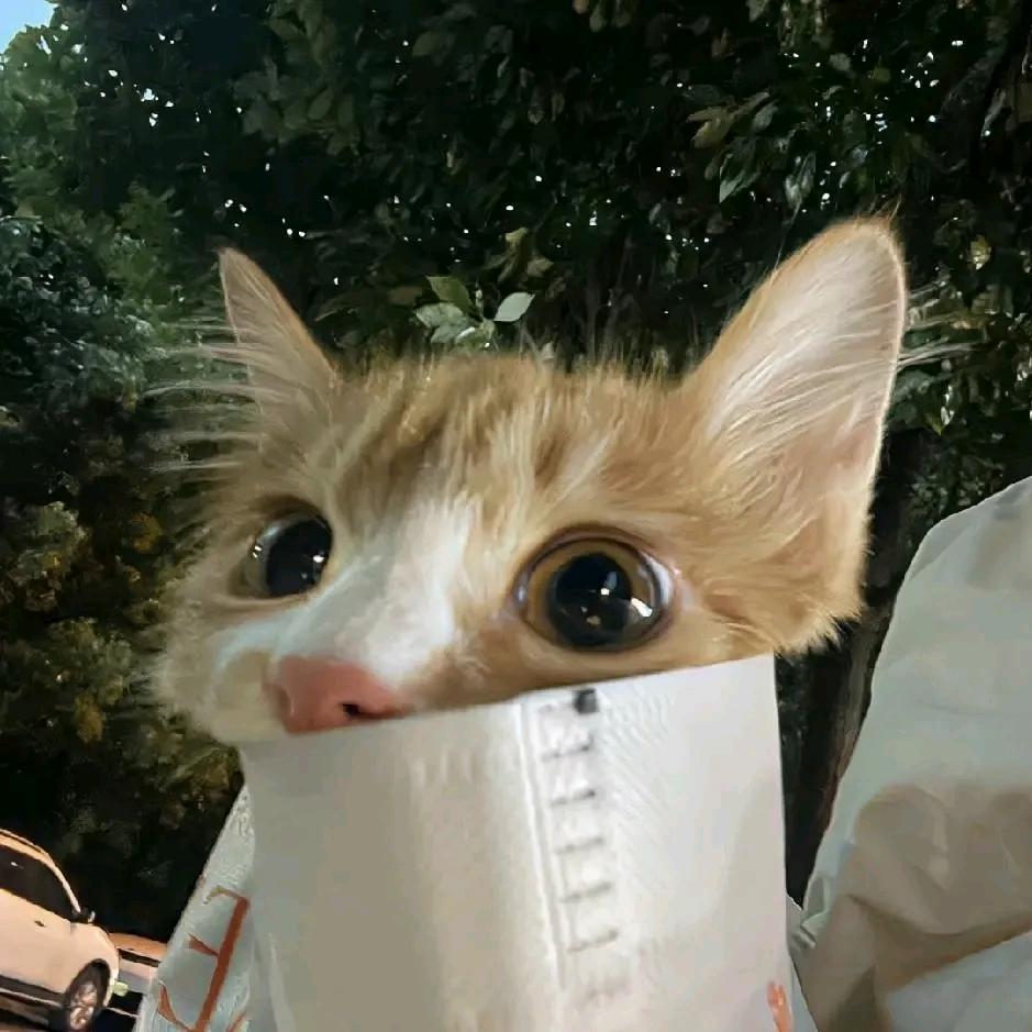 Kiri