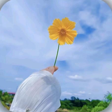 ᭄风🕊️