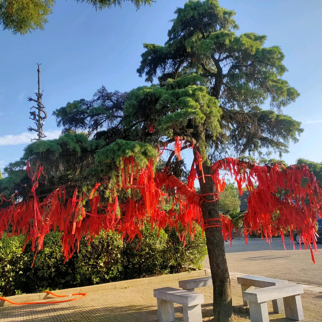 路靠自己走