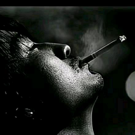 对虾王子、元寶