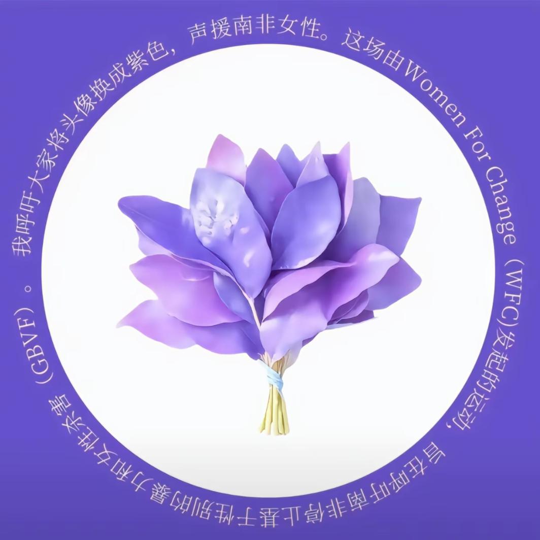 金屋藏霍不离·接🔮