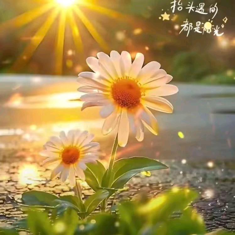 夏天ω