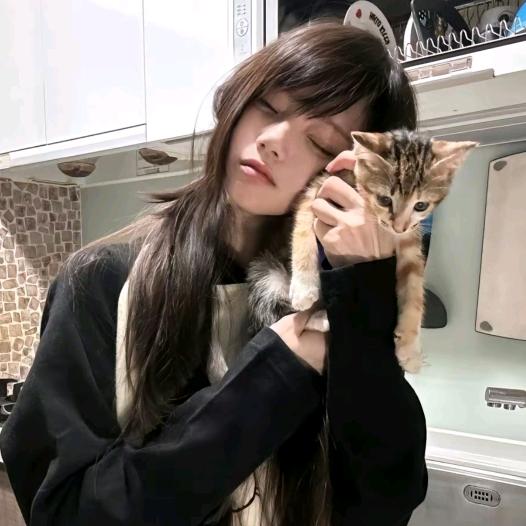 瓦尼塔斯的耳环