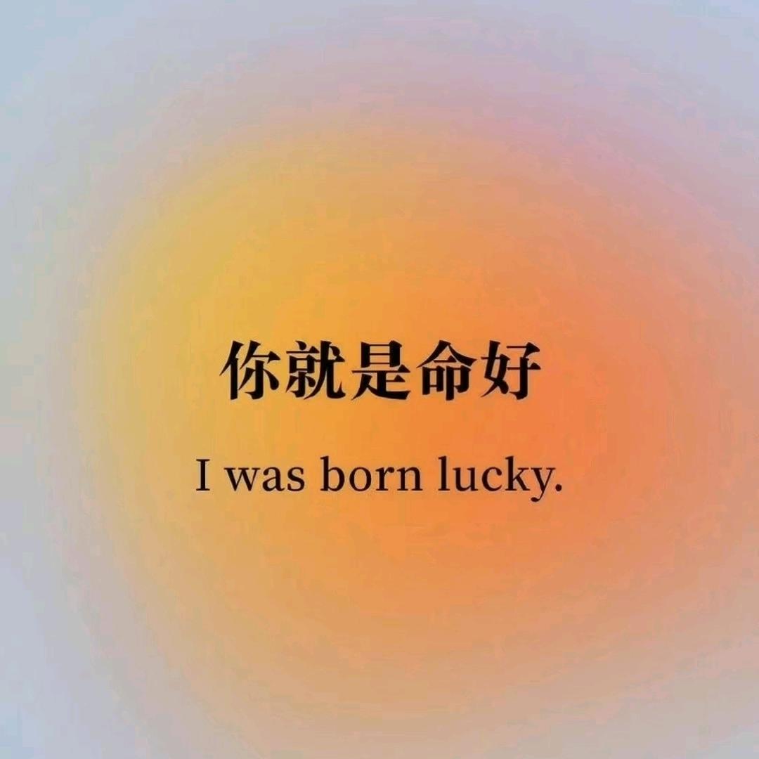 🌺丫头🌸