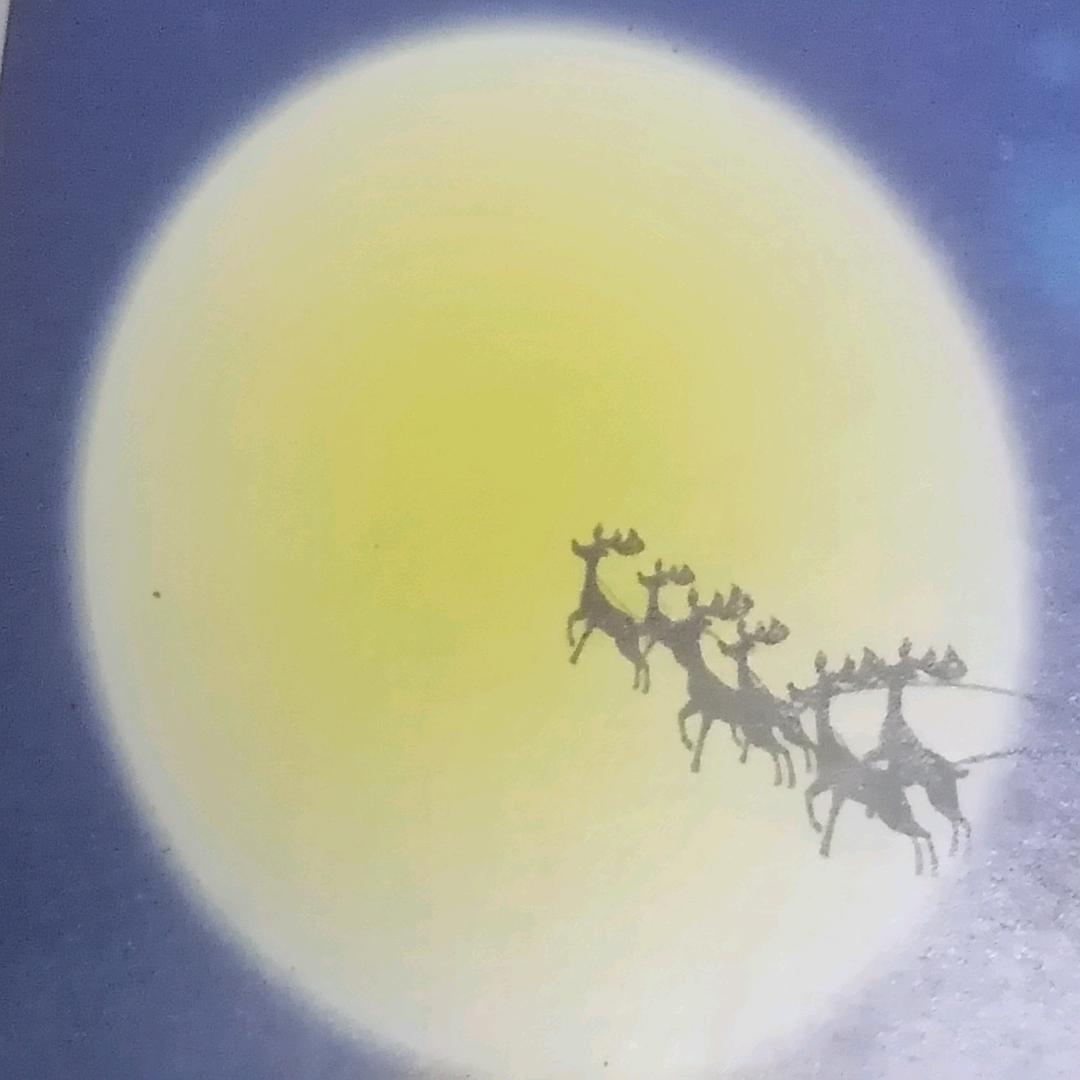 空心菜